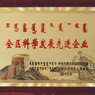 全區科學(xué)發(fā)展先進(jìn)企業(yè)