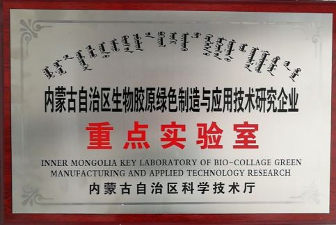 內蒙古自治區企業(yè)重點(diǎn)實(shí)驗室