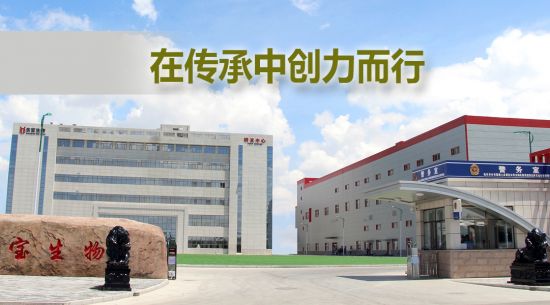 在傳承中創(chuàng  )力而行 東寶生物被授予“內蒙古老字號”稱(chēng)號